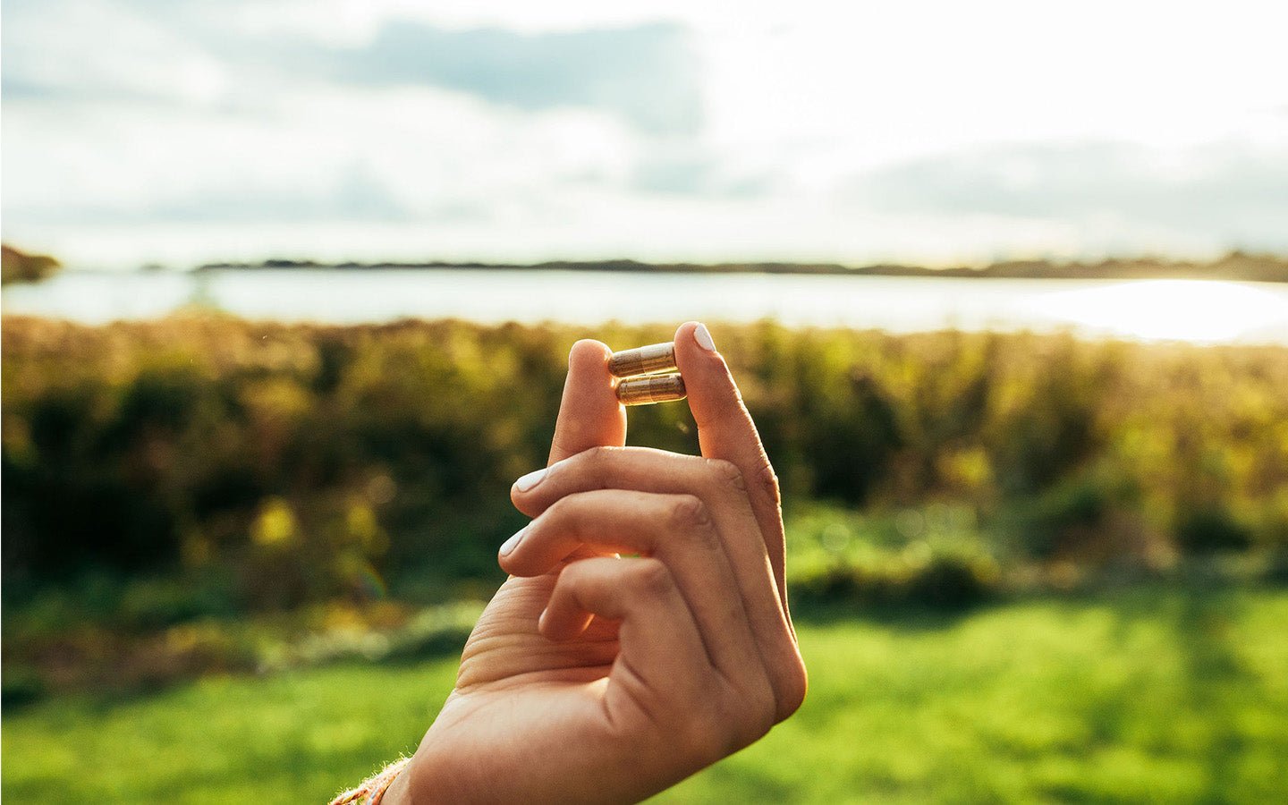 hand holding two chinese herbal capsules with garden in the background