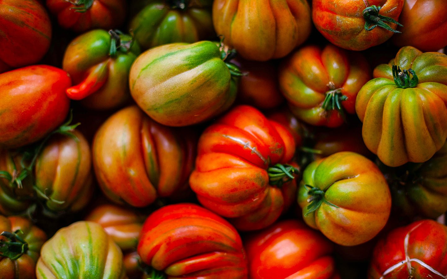 Close-up of various colorful heirloom tomatoes with green stems