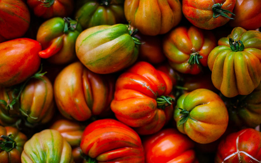 Close-up of various colorful heirloom tomatoes with green stems