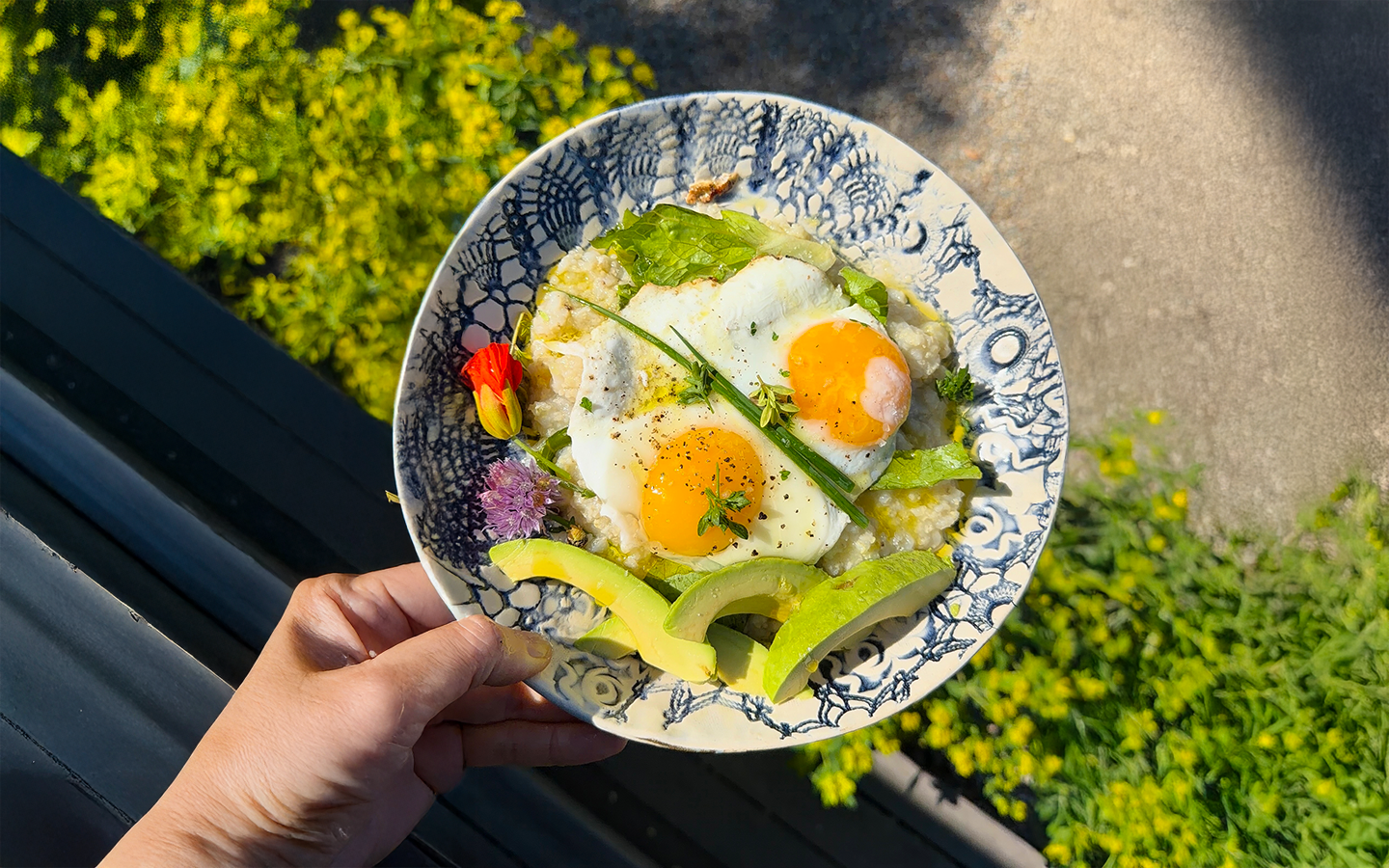 Dr. Catherine's savory millet porridge bowl topped with eggs, avocado, chives, and nasturtium held outdoors in morning light